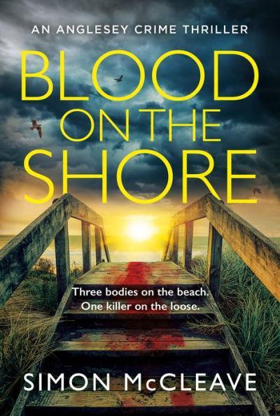 Blood on the Shore (The Anglesey Series, Book 3) - Paperback | Diverse Reads