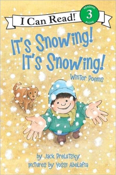 It's Snowing! It's Snowing!: Winter Poems - Paperback | Diverse Reads