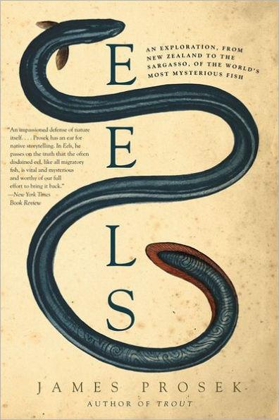 Eels: An Exploration, from New Zealand to the Sargasso, of the World's Most Mysterious Fish - Paperback | Diverse Reads