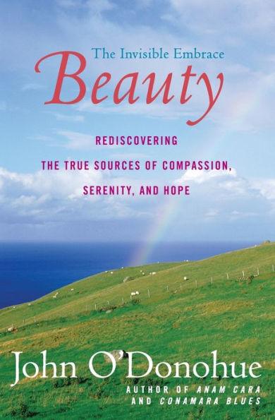 Beauty: The Invisible Embrace - Paperback | Diverse Reads