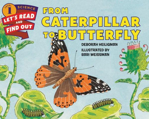 From Caterpillar to Butterfly - Paperback | Diverse Reads