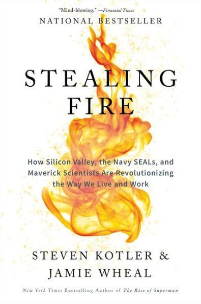 Stealing Fire: How Silicon Valley, the Navy SEALs, and Maverick Scientists Are Revolutionizing the Way We Live and Work - Paperback | Diverse Reads