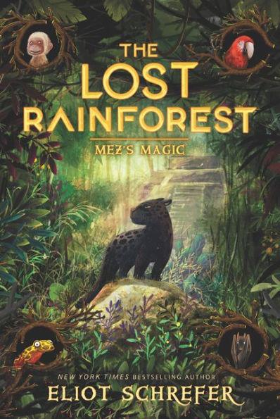 Mez's Magic (The Lost Rainforest Series #1) - Paperback | Diverse Reads
