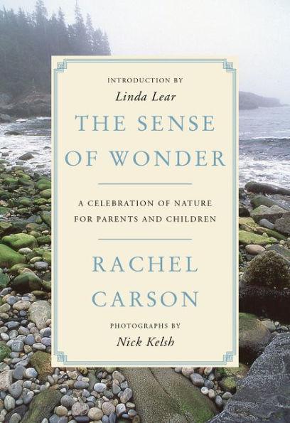 The Sense of Wonder: A Celebration of Nature for Parents and Children - Paperback | Diverse Reads