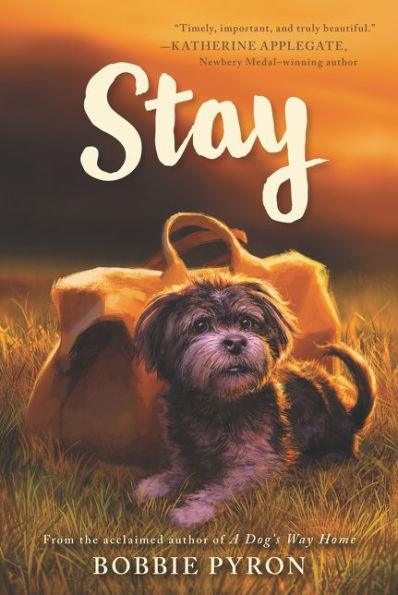 Stay - Paperback | Diverse Reads