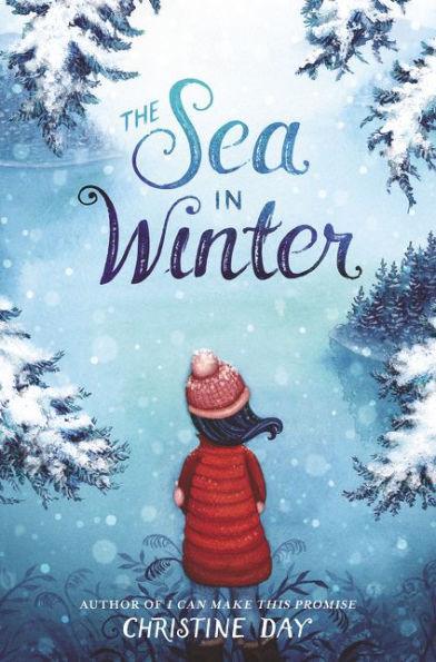 The Sea in Winter - Diverse Reads