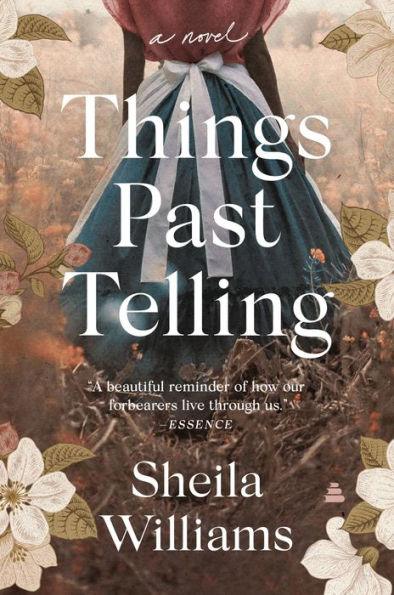 Things Past Telling: A Novel - Paperback | Diverse Reads