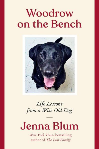 Woodrow on the Bench: Life Lessons from a Wise Old Dog - Paperback | Diverse Reads