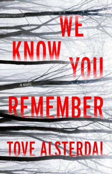 We Know You Remember - Hardcover | Diverse Reads