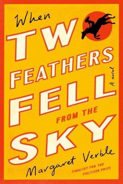 When Two Feathers Fell from the Sky - Paperback | Diverse Reads