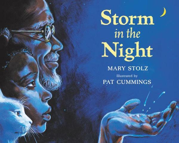Storm in the Night - Paperback(Reprint) | Diverse Reads