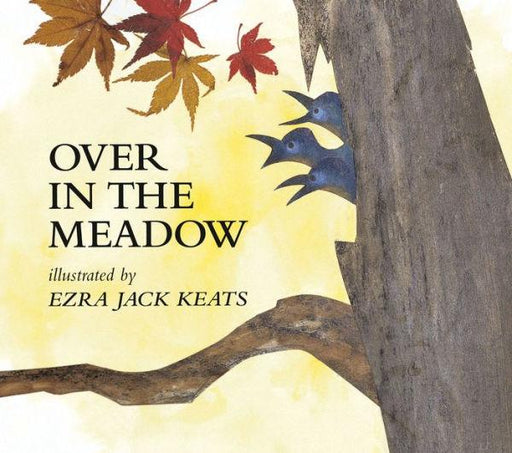Over in the Meadow - Paperback | Diverse Reads