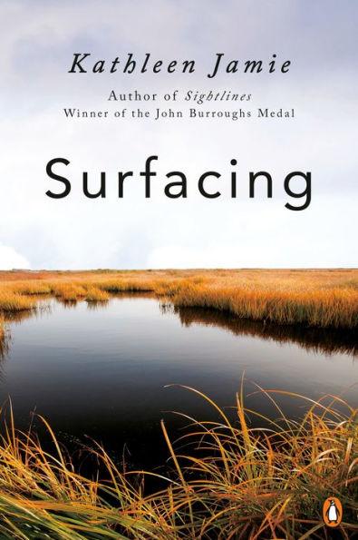 Surfacing - Paperback | Diverse Reads