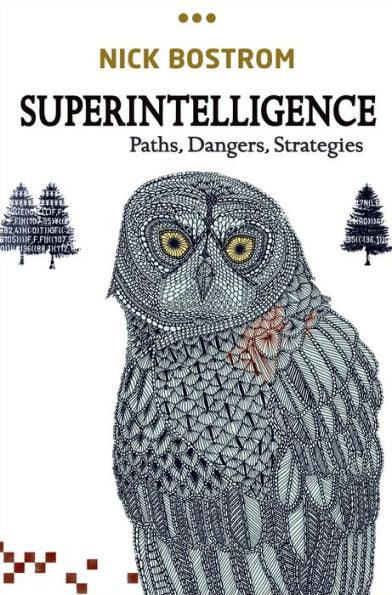 Superintelligence: Paths, Dangers, Strategies - Hardcover | Diverse Reads