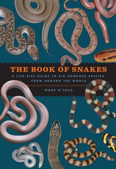 The Book of Snakes: A Life-Size Guide to Six Hundred Species from around the World - Hardcover | Diverse Reads