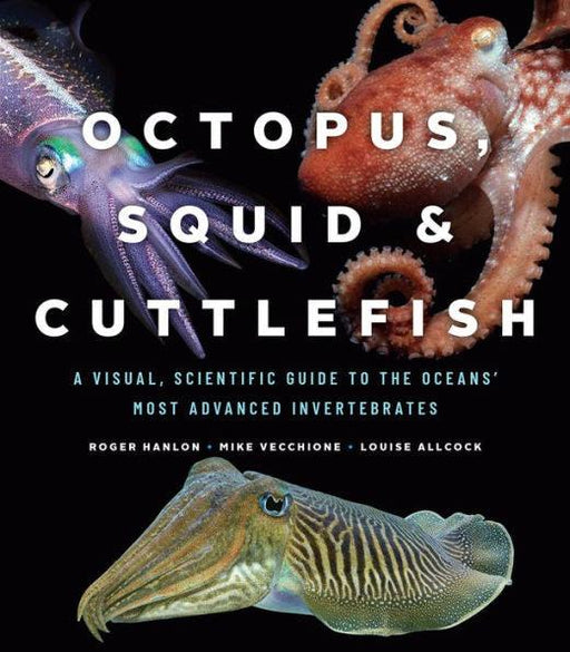 Octopus, Squid, and Cuttlefish: A Visual, Scientific Guide to the Oceans' Most Advanced Invertebrates - Hardcover | Diverse Reads