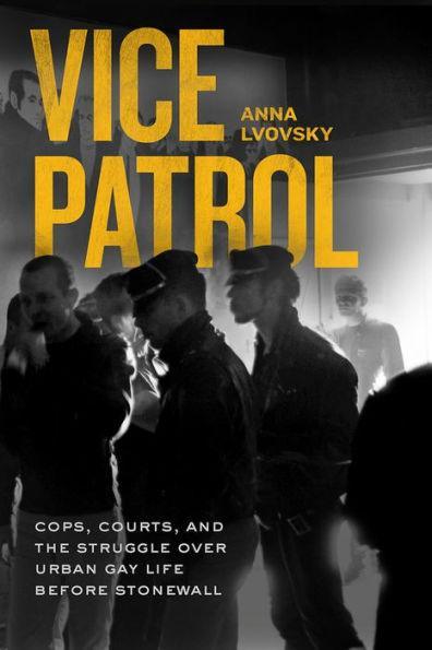 Vice Patrol: Cops, Courts, and the Struggle over Urban Gay Life before Stonewall - Diverse Reads