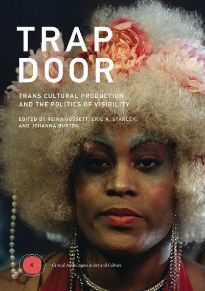 Trap Door: Trans Cultural Production and the Politics of Visibility - Diverse Reads