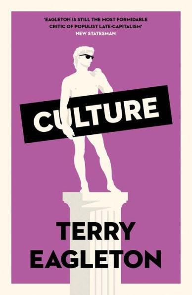 Culture - Paperback | Diverse Reads