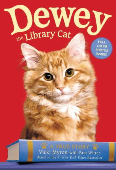 Dewey the Library Cat: A True Story - Paperback | Diverse Reads