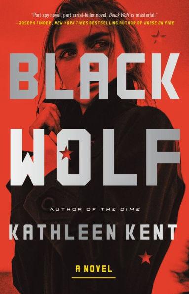 Black Wolf: A Novel - Hardcover | Diverse Reads