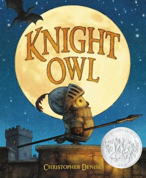Knight Owl - Hardcover | Diverse Reads