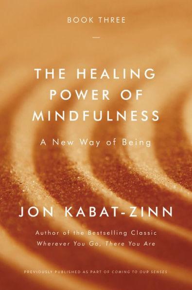 The Healing Power of Mindfulness: A New Way of Being - Paperback | Diverse Reads