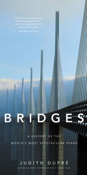 Bridges: A History of the World's Most Spectacular Spans - Hardcover | Diverse Reads