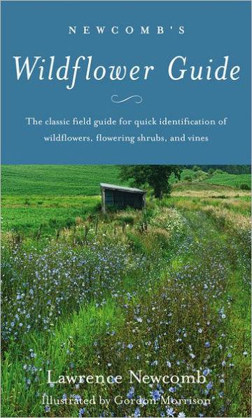 Newcomb's Wildflower Guide - Paperback | Diverse Reads