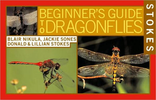 Stokes Beginner's Guide to Dragonflies - Paperback | Diverse Reads