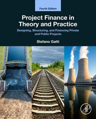 Project Finance in Theory and Practice: Designing, Structuring, and Financing Private and Public Projects - Paperback | Diverse Reads