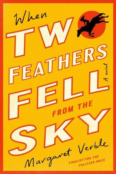 When Two Feathers Fell From The Sky - Diverse Reads