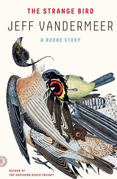 The Strange Bird: A Borne Story - Paperback | Diverse Reads