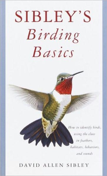 Sibley's Birding Basics - Paperback | Diverse Reads