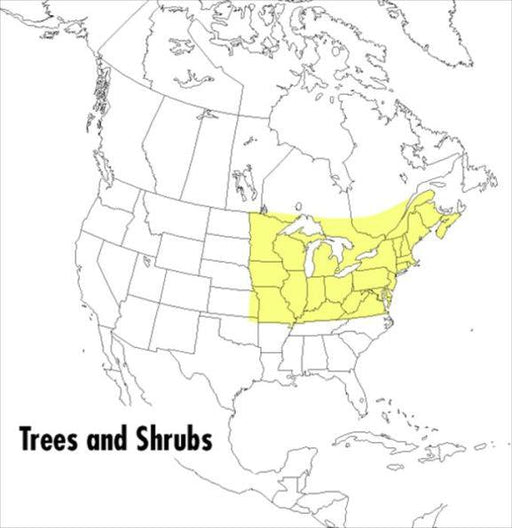 A Peterson Field Guide To Trees And Shrubs: Northeastern and north-central United States and southeastern and south-centralCanada - Paperback | Diverse Reads