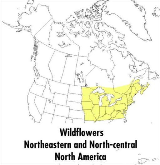 A Peterson Field Guide To Wildflowers: Northeastern and North-central North America - Paperback | Diverse Reads