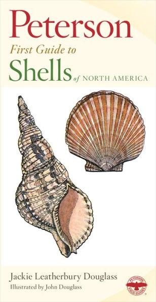 Peterson First Guide To Shells Of North America - Paperback | Diverse Reads