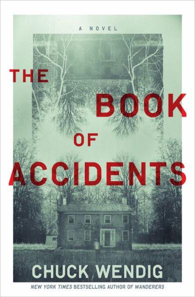 The Book of Accidents - Hardcover | Diverse Reads