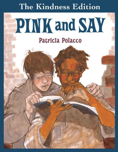 Pink and Say - Hardcover | Diverse Reads