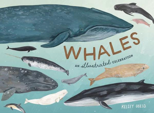 Whales: An Illustrated Celebration - Hardcover | Diverse Reads