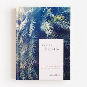 How to Breathe: 25 Simple Practices for Calm, Joy, and Resilience - Hardcover | Diverse Reads