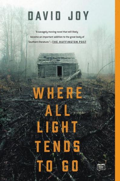 Where All Light Tends to Go - Paperback | Diverse Reads