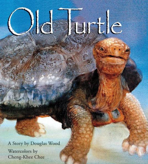 Old Turtle - Hardcover | Diverse Reads