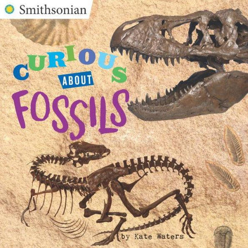 Curious About Fossils - Paperback | Diverse Reads
