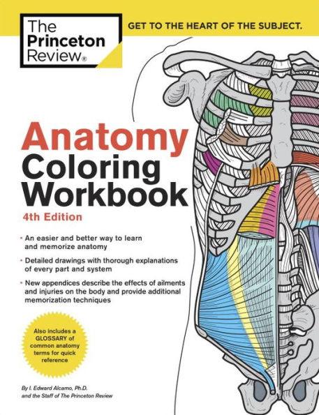 Anatomy Coloring Workbook, 4th Edition: An Easier and Better Way to Learn Anatomy - Paperback | Diverse Reads