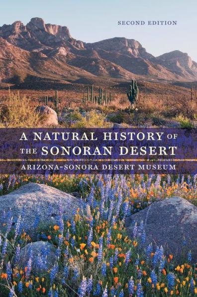 A Natural History of the Sonoran Desert - Paperback | Diverse Reads