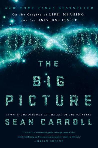 The Big Picture: On the Origins of Life, Meaning, and the Universe Itself - Hardcover | Diverse Reads
