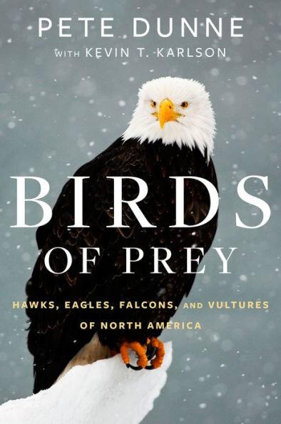 Birds Of Prey: Hawks, Eagles, Falcons, and Vultures of North America - Hardcover | Diverse Reads