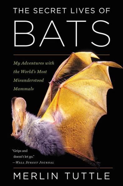 The Secret Lives Of Bats: My Adventures with the World's Most Misunderstood Mammals - Paperback | Diverse Reads