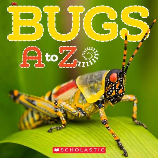 Bugs A to Z - Paperback | Diverse Reads
